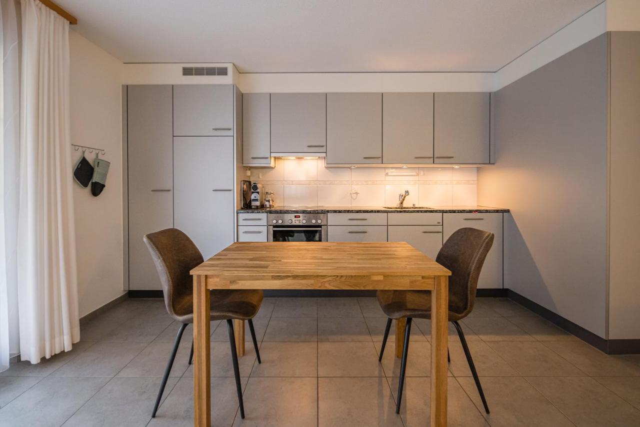 Apartment Truemmelbach, Comfortabl & Cozy, Private Terrace With Best Views Лаутербруннен Екстер'єр фото